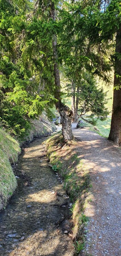 Un Moment De Detente Inoubliable Saillon-Les-Bain Εξωτερικό φωτογραφία