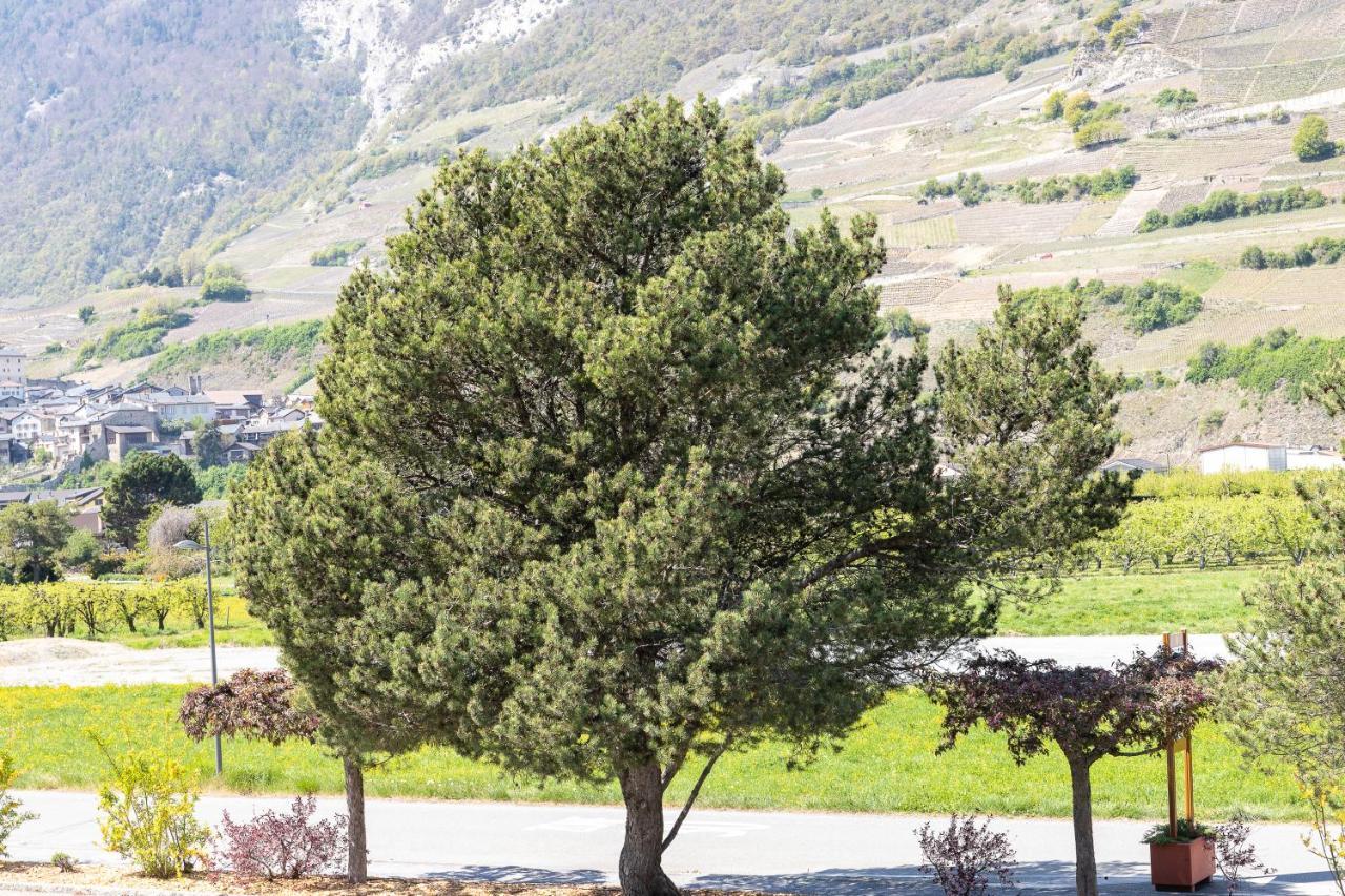 Un Moment De Detente Inoubliable Saillon-Les-Bain Εξωτερικό φωτογραφία
